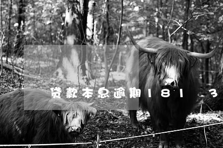贷款本息逾期181 360天 贷款本息逾期181 360天